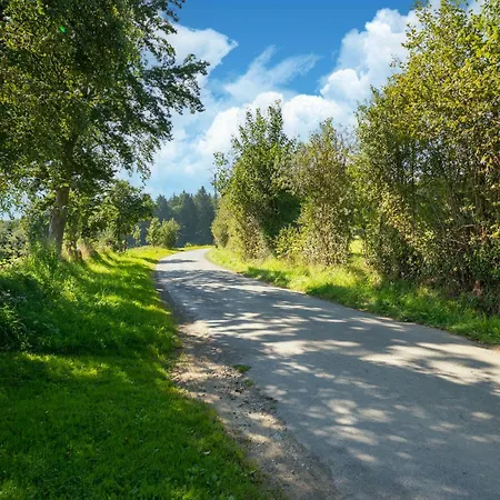 Near The Francorchamps Circuit, Cleaning Included
